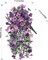 2-Piece Artificial Hanging Flowers – Faux Silk Daisy with Eucalyptus Vines, UV-Resistant Realistic Trailing Plants for Balcony, Patio, Porch, and Spring Outdoor Decor (Dark Purple + Purple)
